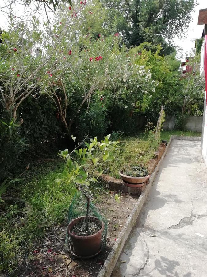 Casa Vacanze Mare Lido di Scacchi Zewnętrze zdjęcie