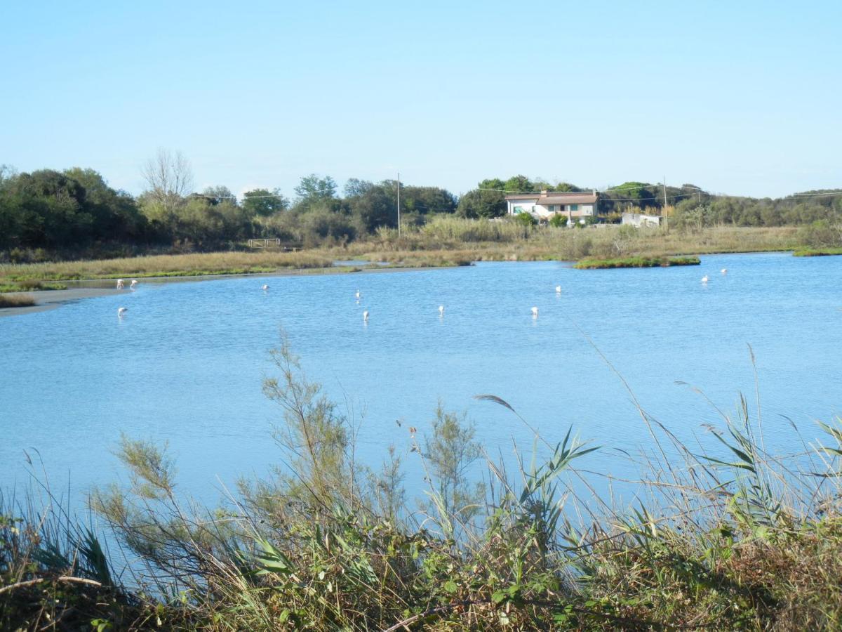 Casa Vacanze Mare Lido di Scacchi Zewnętrze zdjęcie